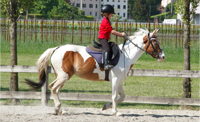 corsi_pony